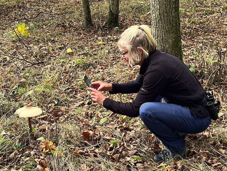 22-10-03 14-14-17 2217